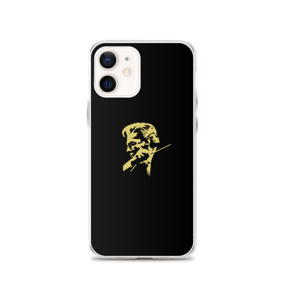 iphone-case-iphone-12-case-on-phone-609b8f496cb23.jpg